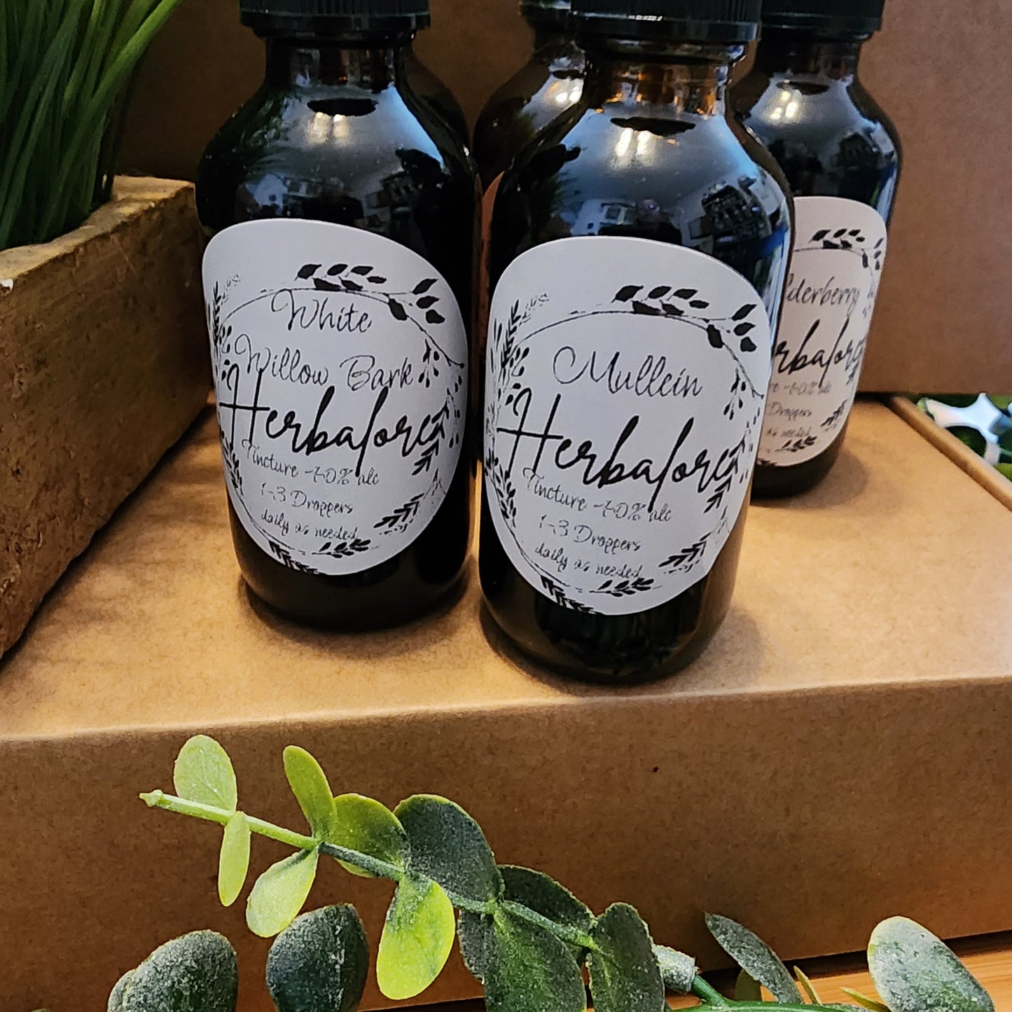 Mullein Tincture